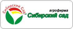 семена недорого