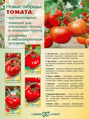 новости ваша усадьба